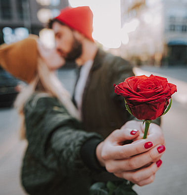 Close up of female and male hands holding red rose. Bearded man kissing his charming girlfriend